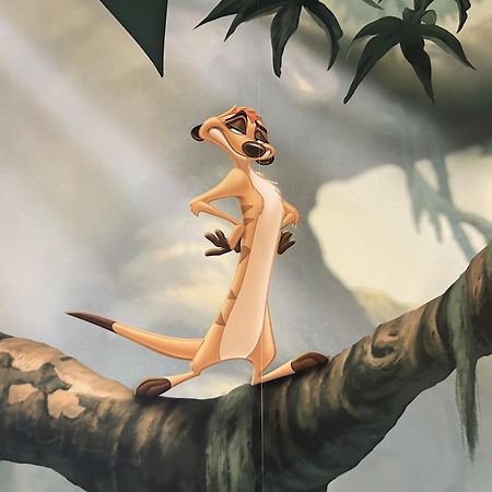L'Appartement Du Roi Lion L 8 Pers L Proche De Disney บุสซี-แซ็ง-ฌอร์ฌ ภายนอก รูปภาพ